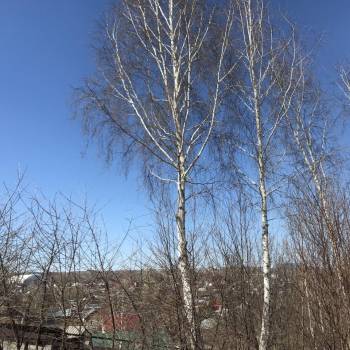 Продается Участок, 800 м²