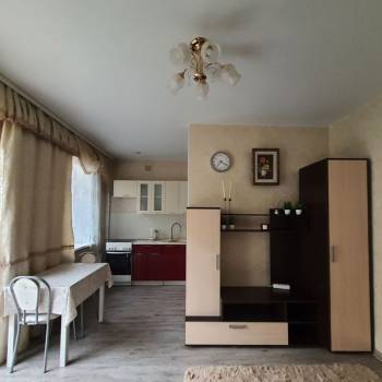 Сдается 1-комнатная квартира, 24,8 м²
