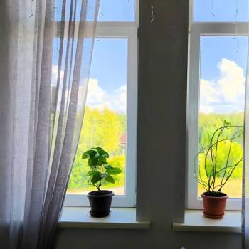 Сдается 1-комнатная квартира, 47 м²