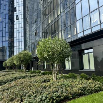 Сдается 2-х комнатная квартира, 40 м²