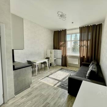 Сдается 1-комнатная квартира, 24,7 м²