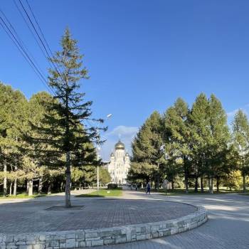 Сдается 1-комнатная квартира, 26 м²