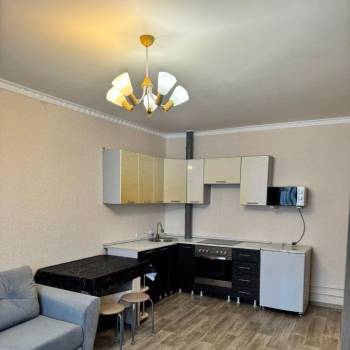 Сдается 1-комнатная квартира, 30,21 м²