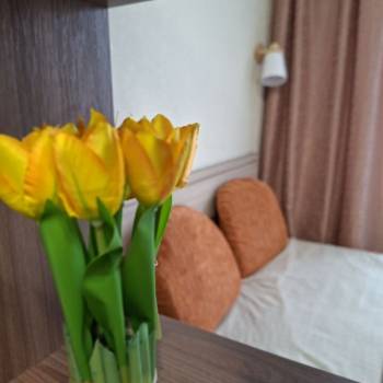 Сдается 2-х комнатная квартира, 41 м²