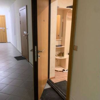 Сдается 1-комнатная квартира, 31,5 м²