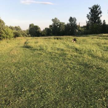 Продается Участок, 1000 м²