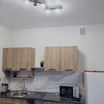 Сдается 1-комнатная квартира, 28,5 м²