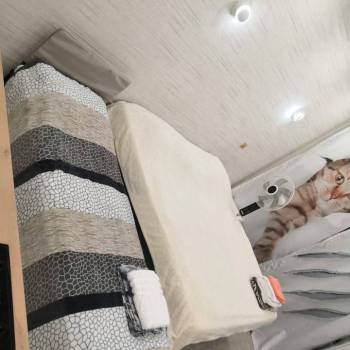 Сдается 1-комнатная квартира, 25 м²