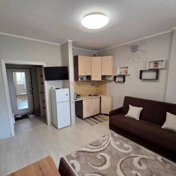 Сдается 1-комнатная квартира, 20,2 м²