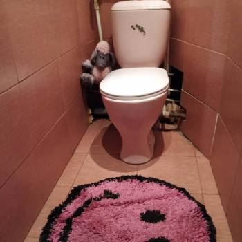 Сдается Комната, 13 м²