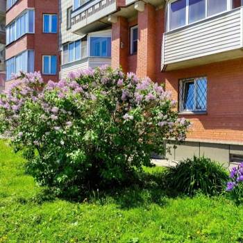 Сдается 2-х комнатная квартира, 56 м²