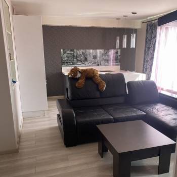 Сдается 1-комнатная квартира, 49 м²