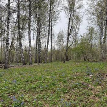 Продается Участок, 1200 м²