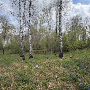 Продается Участок, 1200 м²