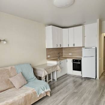 Сдается 1-комнатная квартира, 30,1 м²