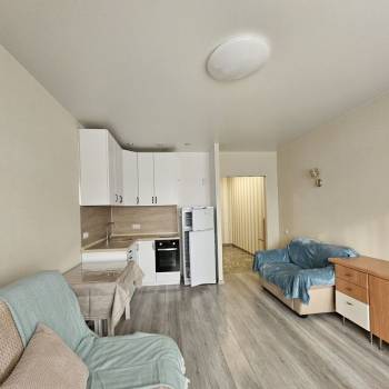 Сдается 1-комнатная квартира, 30,1 м²