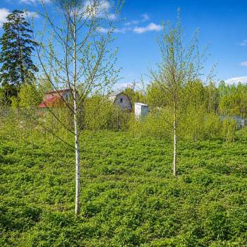 Продается Участок, 1100 м²