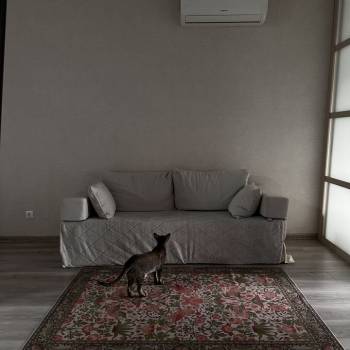 Сдается 2-х комнатная квартира, 47 м²