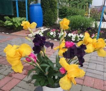 Продается Дом, 87,9 м²