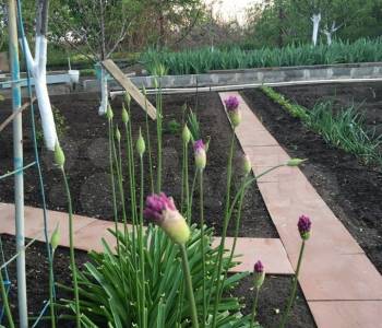 Продается Дом, 87,9 м²