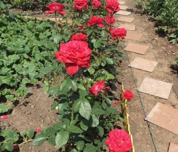 Продается Дом, 87,9 м²