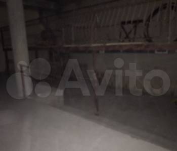 Сдается Нежилое помещение, 260 м²