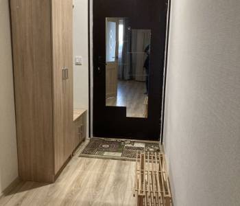 Сдается 1-комнатная квартира, 25,1 м²