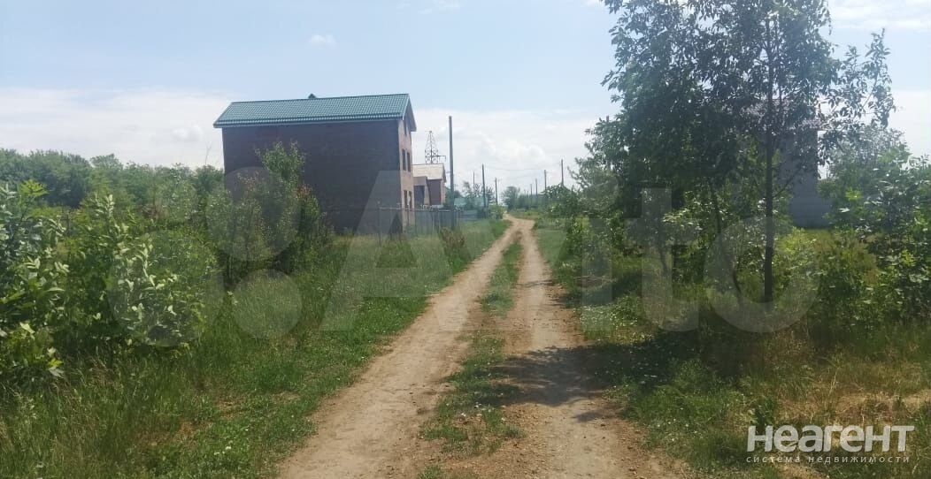 Фотография №4