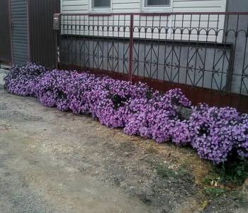 Продается Участок, 400 м²