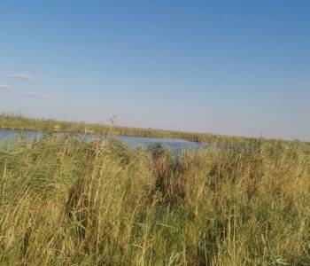 Продается Участок, 41300 м²