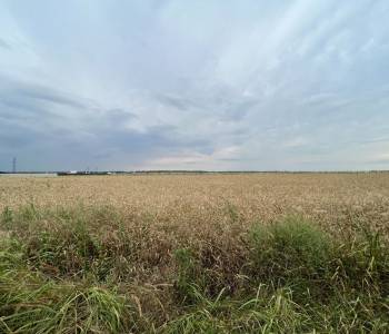 Продается Участок, 1000 м²