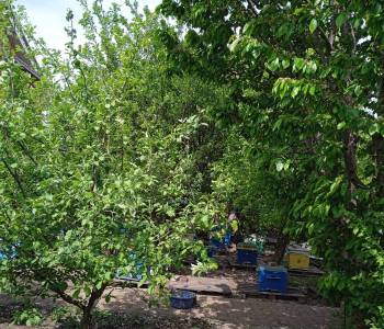 Продается Дом, 323,1 м²