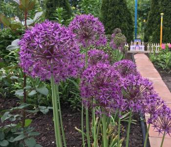 Продается Дом, 87,9 м²