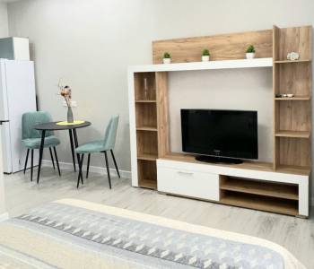 Сдается 1-комнатная квартира, 27,6 м²