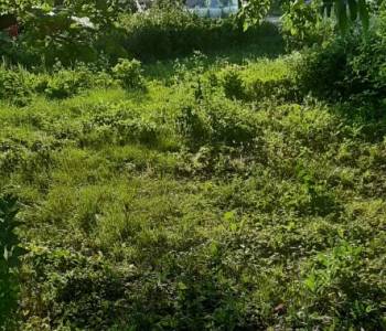 Продается Участок, 666 м²