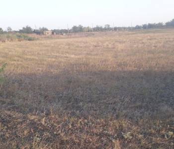 Продается Участок, 8000 м²