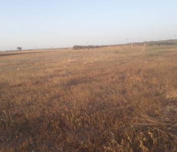 Продается Участок, 8000 м²