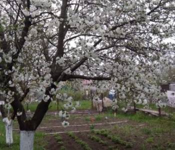 Продается Участок, 760 м²