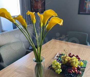 Продается 1-комнатная квартира, 90 м²