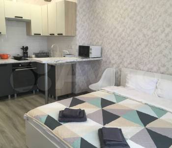 Сдается 1-комнатная квартира, 24,1 м²