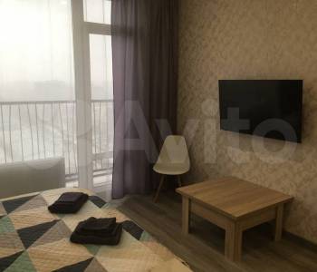 Сдается 1-комнатная квартира, 24,1 м²