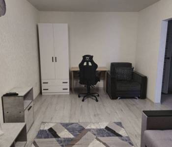 Сдается 1-комнатная квартира, 30,3 м²