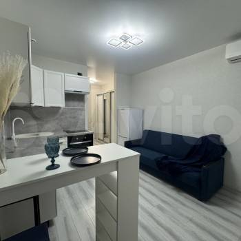 Продается 1-комнатная квартира, 24,3 м²