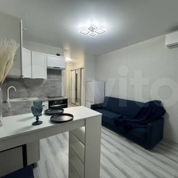 Продается 1-комнатная квартира, 24,3 м²