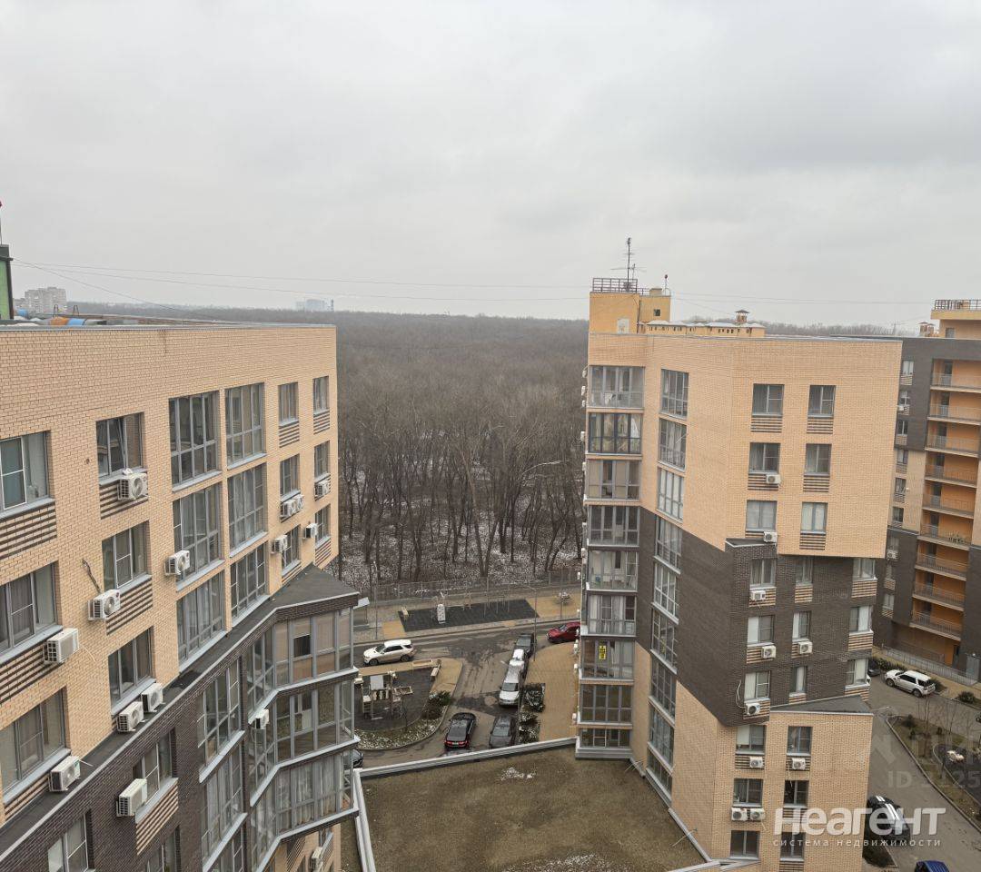 Фотография №3