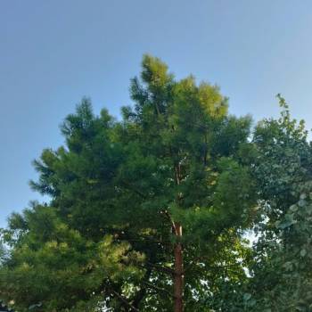 Продается Дом, 80 м²