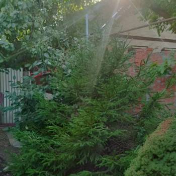 Продается Дом, 80 м²