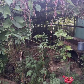 Продается Дом, 59,3 м²