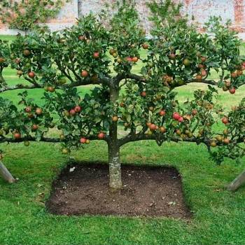 Продается Участок, 600 м²