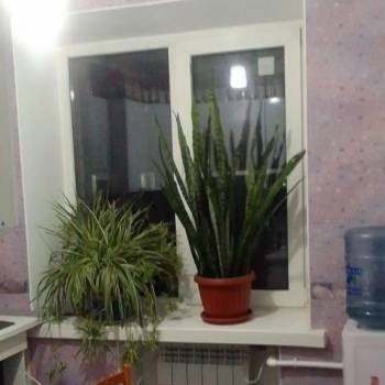 Сдается 1-комнатная квартира, 31 м²